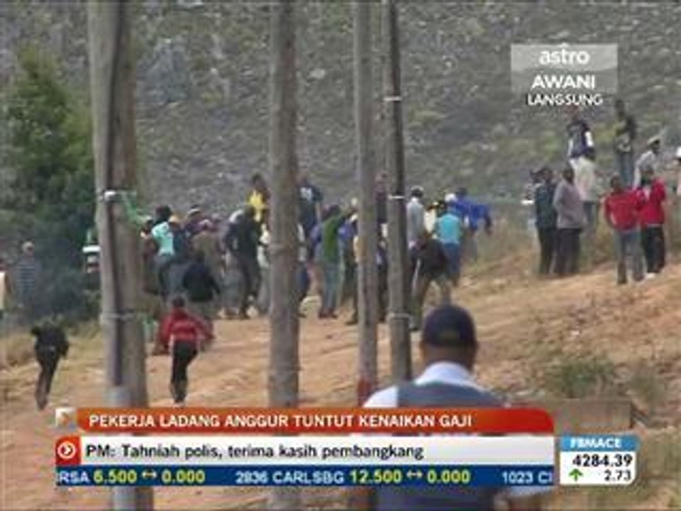 Pekerja ladang anggur tuntut kenaikan gaji