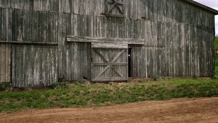 Turn - Washington&#039;s Spies - staffel 2 Trailer DF