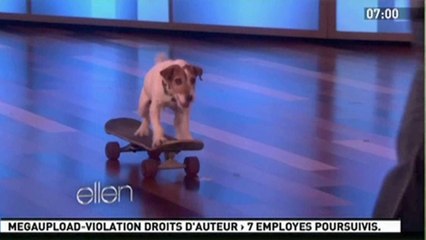 Le zapping sport de la semaine du 18 au 25 janvier 2012