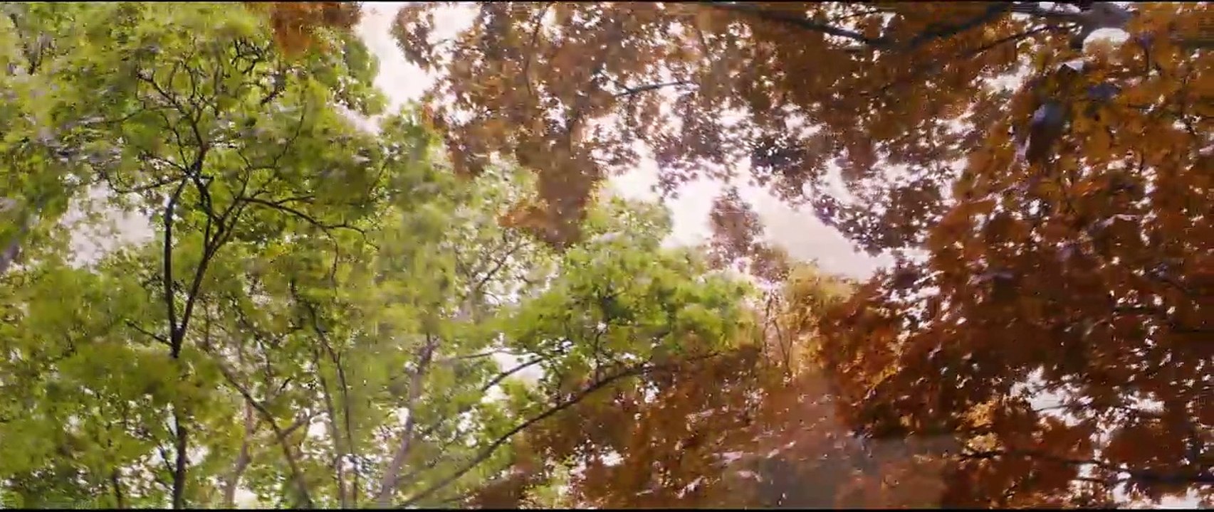 Blau ist eine warme Farbe Trailer OV