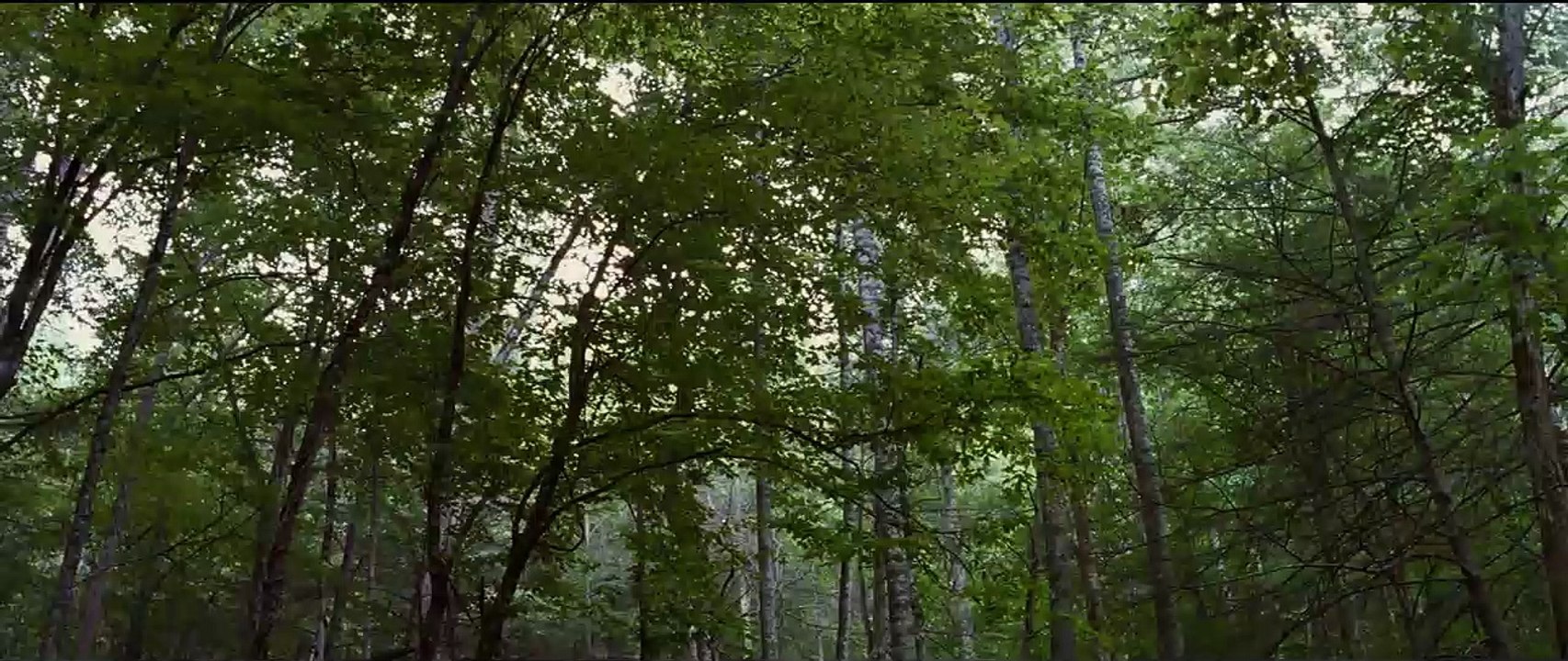 Die Tribute von Panem - Tödliche Spiele Teaser DF