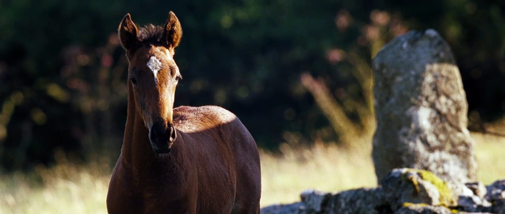 Gefährten Trailer (2) DF
