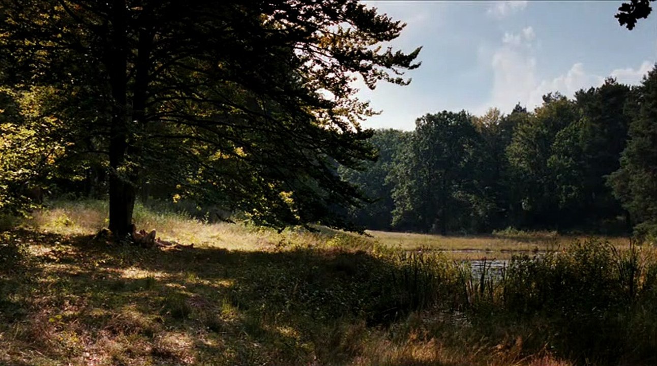 Goethe! Trailer (2) DF