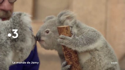 Le monde de Jamy (France 3) Animaux : une affaire de famille