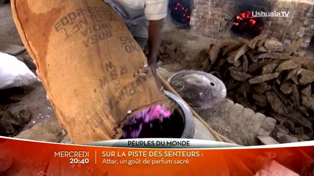 Sur la piste des senteurs - Ushuaia TV