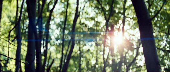 Schilf - Alles, was denkbar ist, existiert Trailer DF