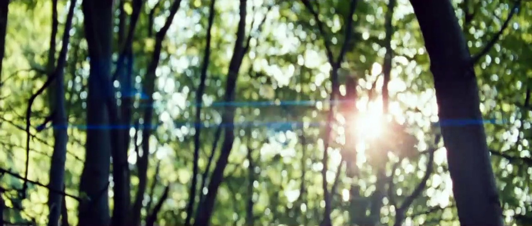 Schilf - Alles, was denkbar ist, existiert Trailer DF