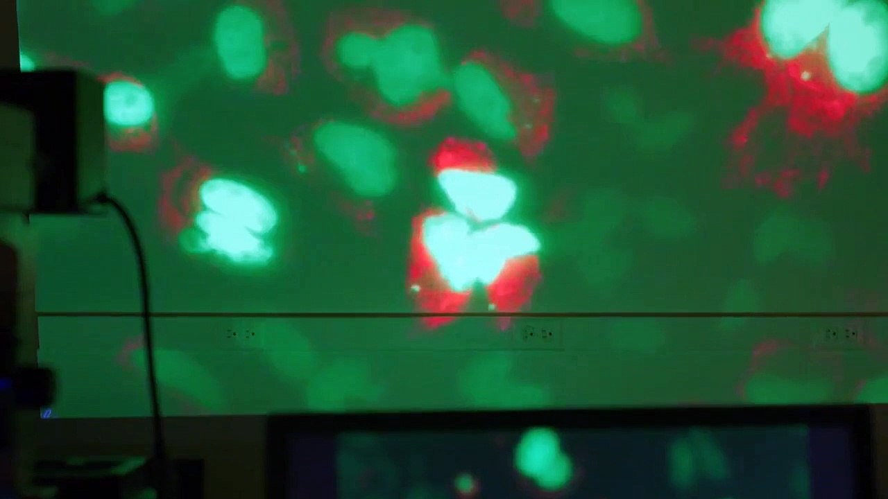 The Immortal Life of Henrietta Lacks Trailer OV