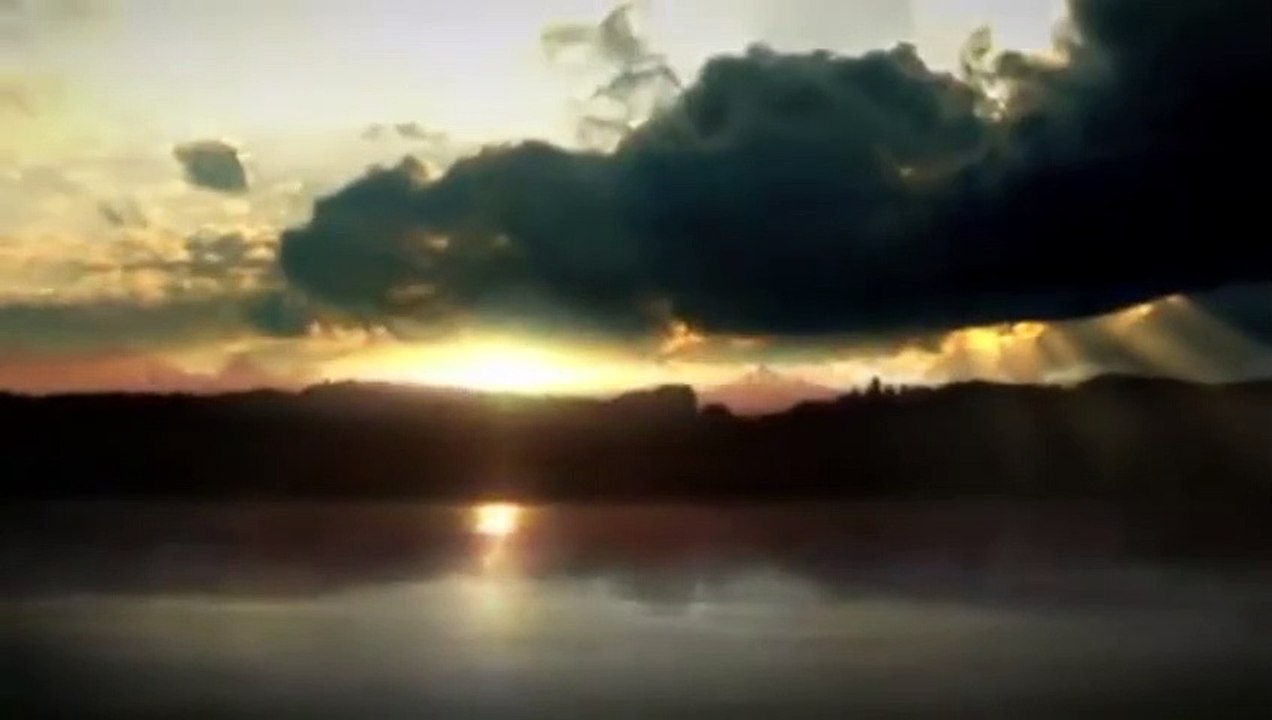 Trüffeljagd im 5 Seenland Trailer DF