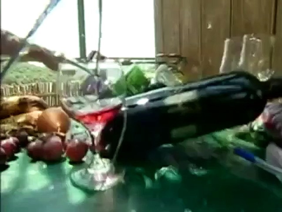 Cobras Trailer Para Maiores Original