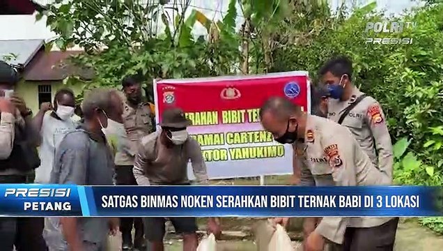 Satgas Binmas Ops Damai Cartenz-2022 wilayah Yahukimo menyerah 6 Ekor bibit ternak babi di 3 Spot Binaan-