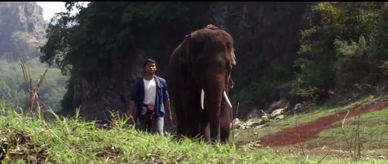 Return of the Warrior Trailer (4) OV