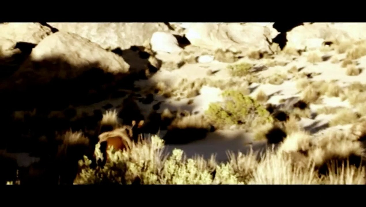 Blackthorn Trailer DF