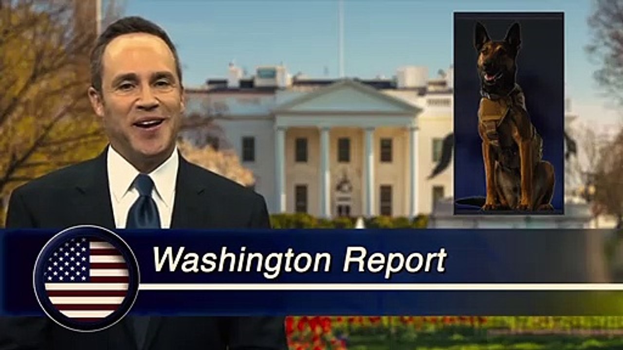 Max - Agent auf vier Pfoten Trailer (2) OV