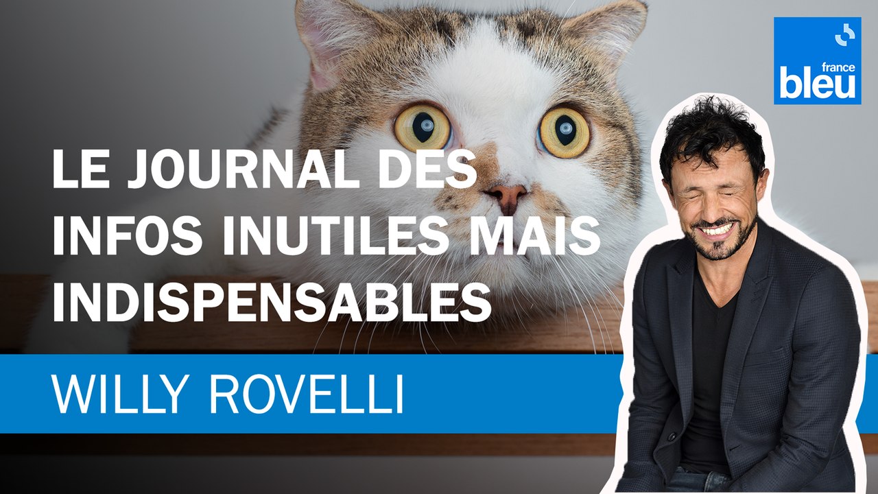 Le journal des infos inutiles mais indispensables - Le billet de Willy Rovelli