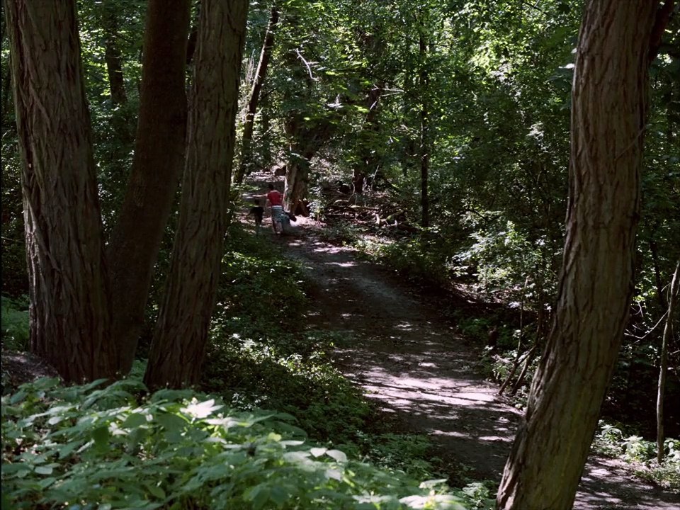 Der traumhafte Weg Teaser DF