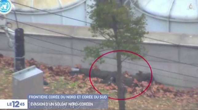 Le zapping du 23/11 : La grande évasion d’un soldat Nord-Coréen vers la Corée du Sud