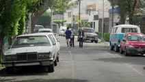 Sopladora de Hojas Trailer OV