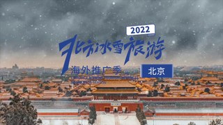 Visite de Beijing en hiver 北京冬旅
