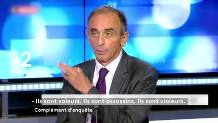 Complément d'enquête (France 2) Zemmour : " Veni, Vidi, Vichy " ?