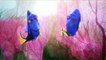 Finding Dory: Baby Dory Clip
