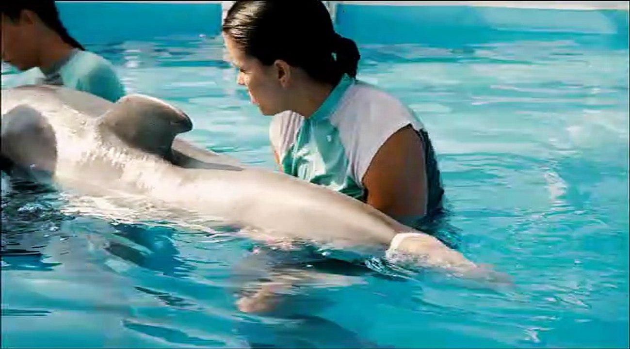 Mein Freund, der Delfin Trailer DF
