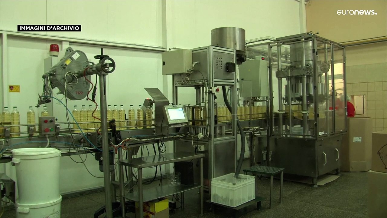 La guerra mette a rischio la produzione d'olio di semi di girasole