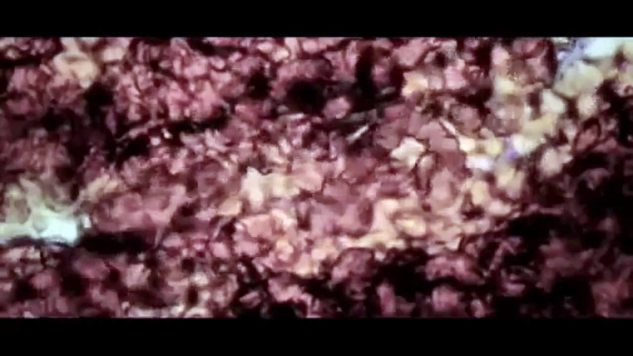 Closer to God - Frankensteins Kinder Trailer DF