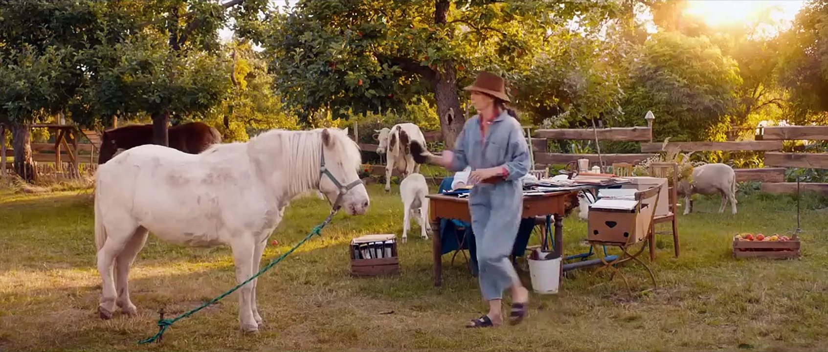 Conni & Co Trailer (2) DF