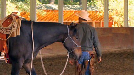 Buck - Der wahre Pferdeflüsterer Trailer DF