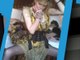 En 2011 Courtney Love âgée de 45 ans  poste toujours autant de photos hot sur son Twitter !