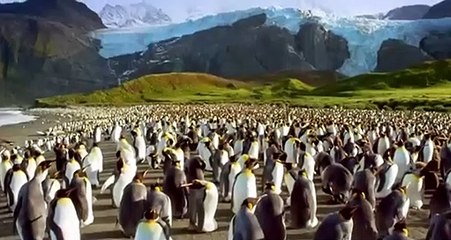 Adventures Of The Penguin King Trailer OV