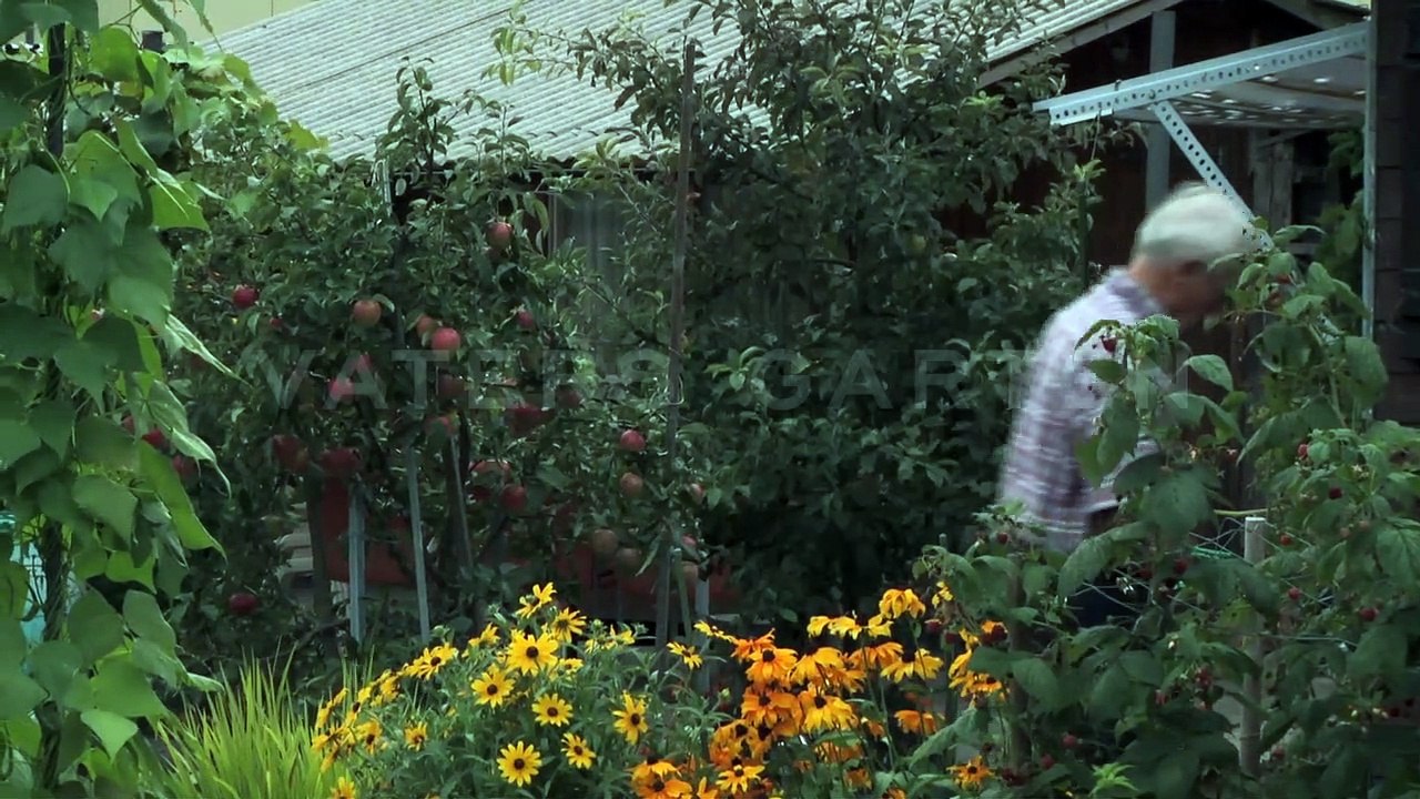 Vaters Garten - Die Liebe meiner Eltern Trailer (2) DF
