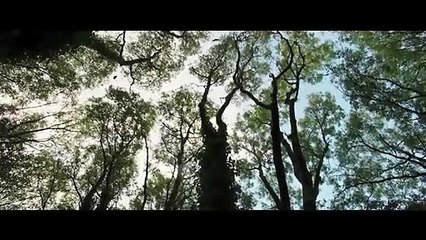 Crow - Rächer des Waldes Trailer (3) OV