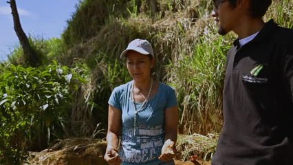 Les Porteurs d'espoir - TV5 Monde