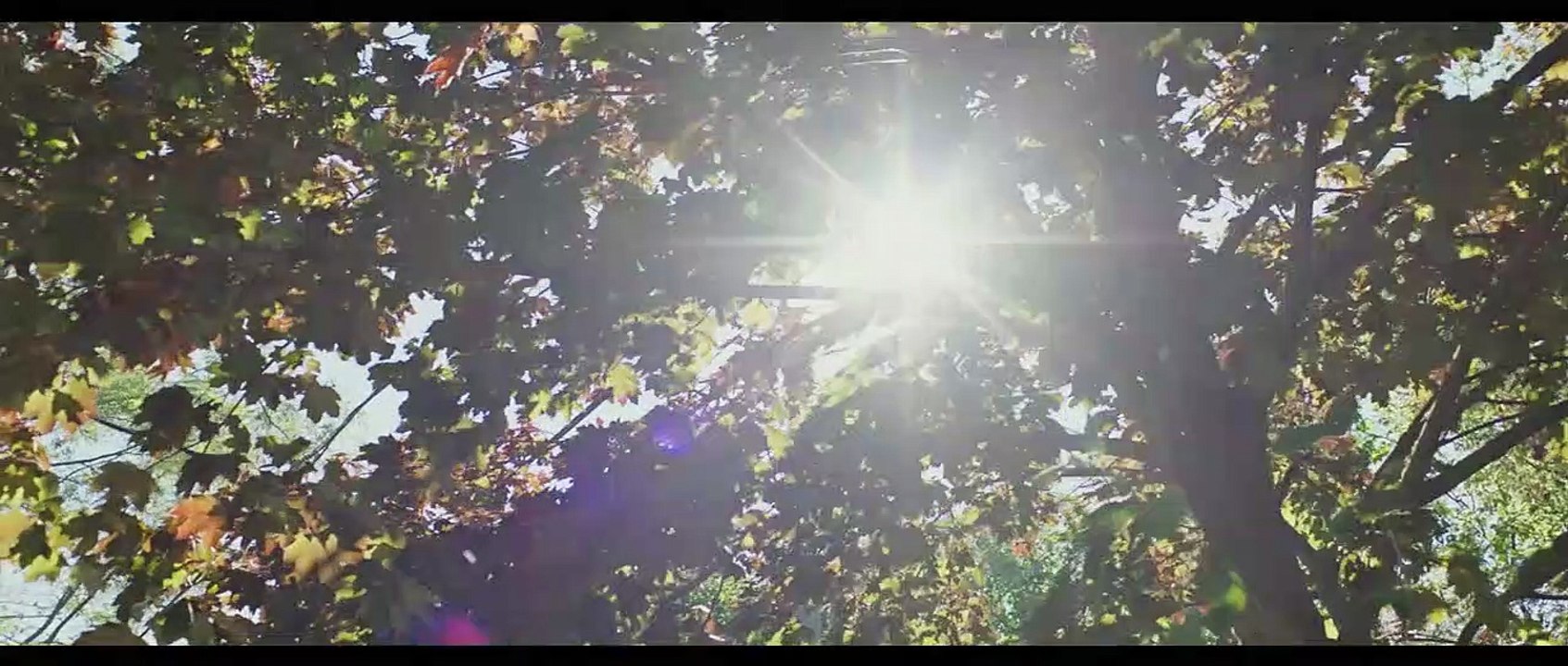 Below Her Mouth Trailer DF