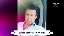 Gürsel İleri - Gittin Ya Dost