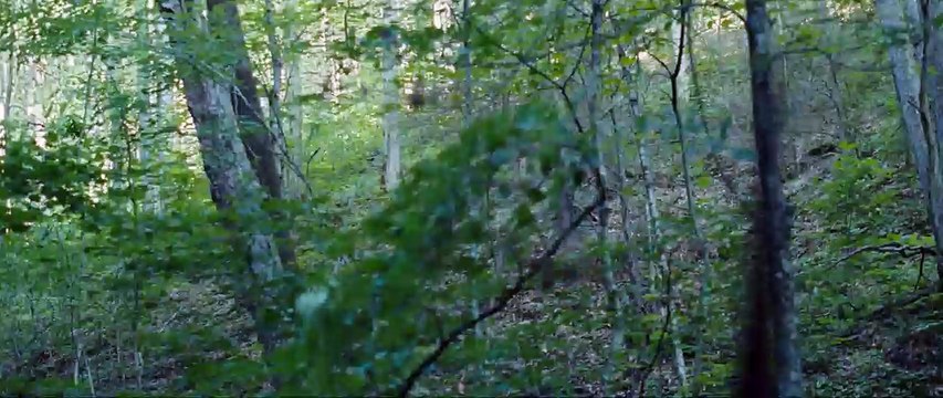 Die Tribute von Panem - Tödliche Spiele Trailer DF