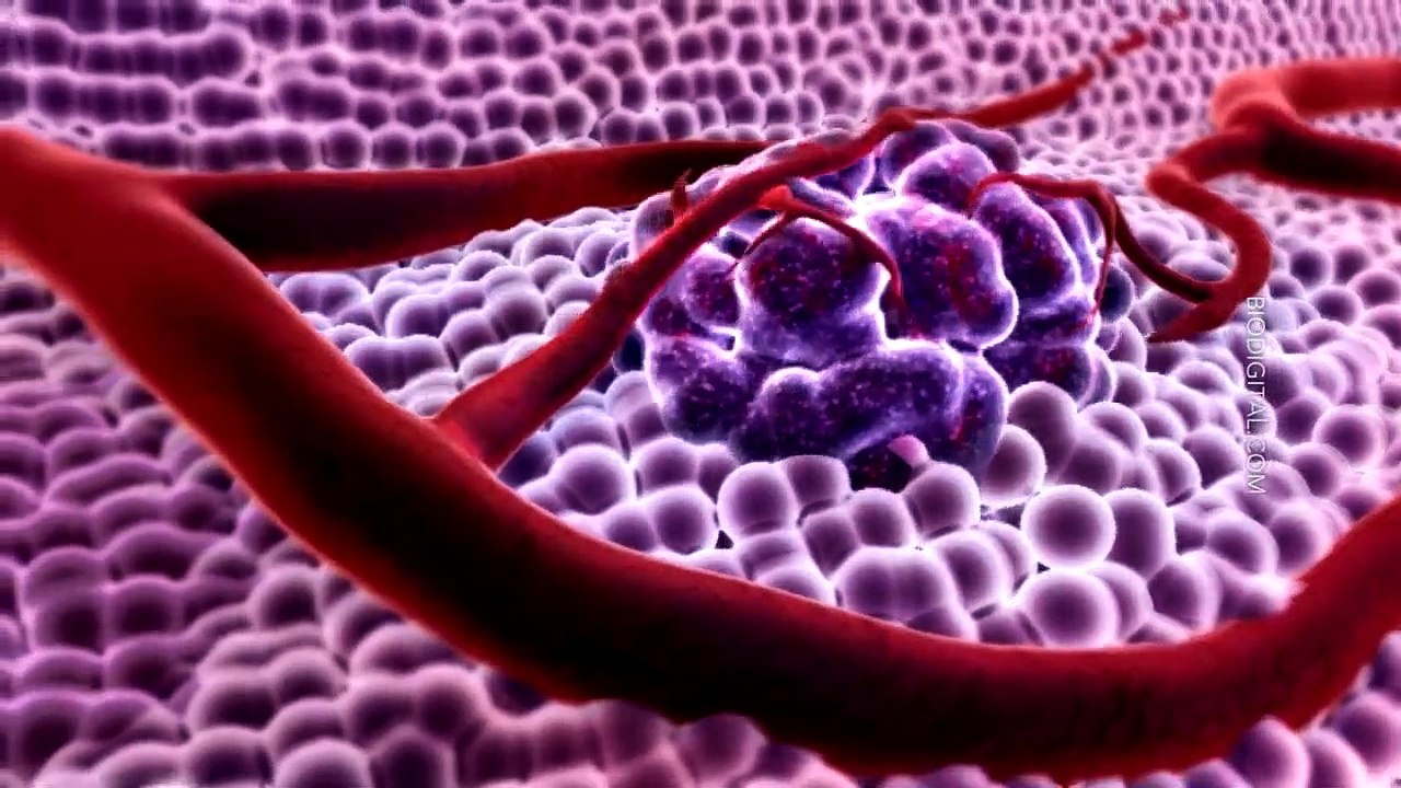 Thank You For Calling Trailer DF