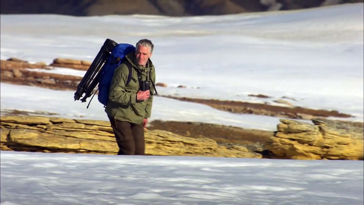 Unter Wölfen - Überleben im Rudel Trailer DF