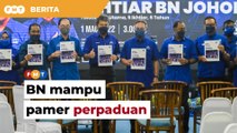 Walaupun Umno berpuak, BN mampu pamer perpaduan, kata penganalisis