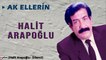 Halit Arapoğlu - Ak Ellerin (2022 © Aydın Müzik)