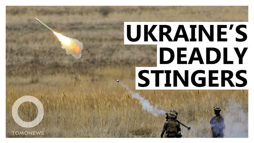 Ukraine’s MIG Killer: How The Stinger Missile Works