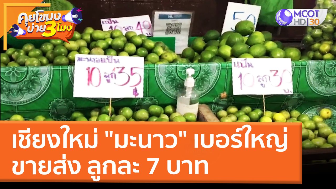 เชียงใหม่ "มะนาว"  เบอร์ใหญ่ขายส่ง ลูกละ 7 บาท (9 มี.ค. 65) คุยโขมงบ่าย 3 โมง