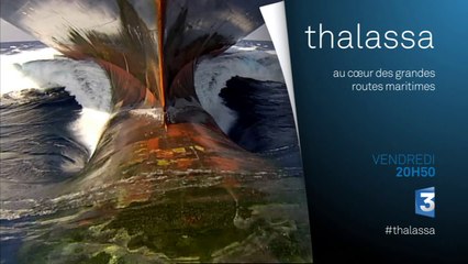 Thalassa - Au coeur des grandes routes maritimes - 23/10