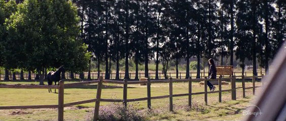 Black Beauty Trailer (2) OV