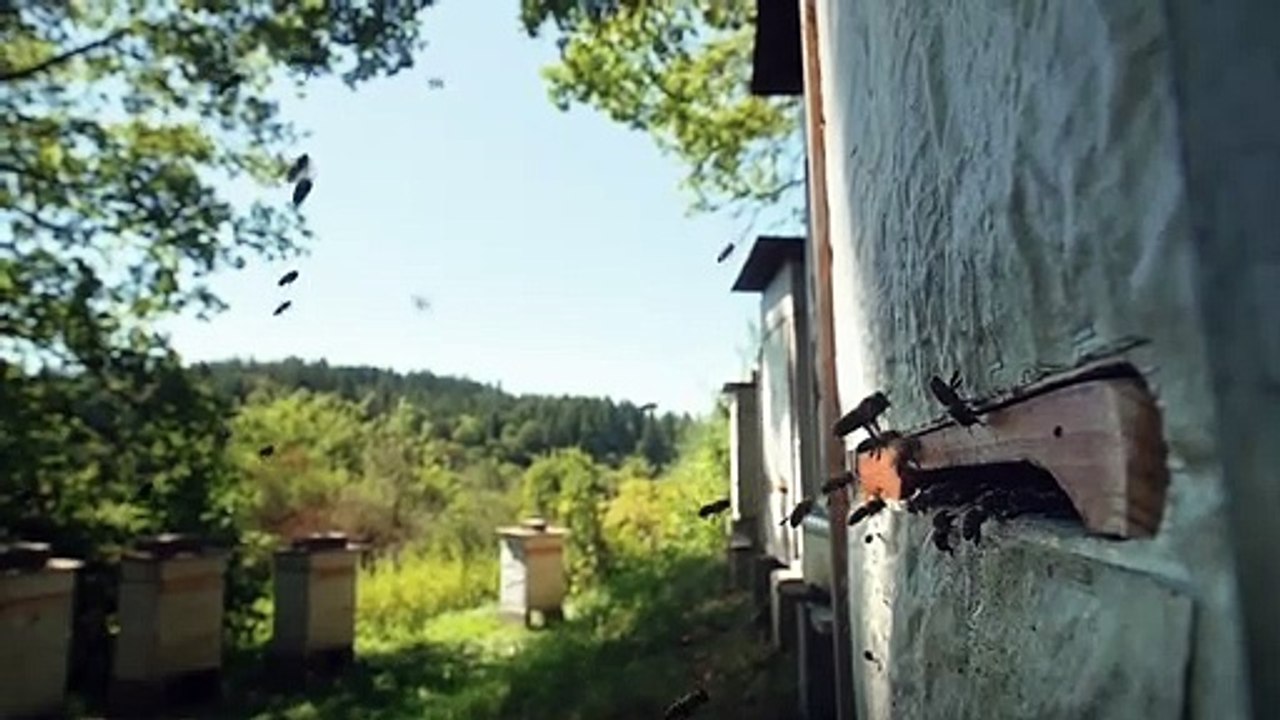 Eine Frage der Haltung Trailer DF