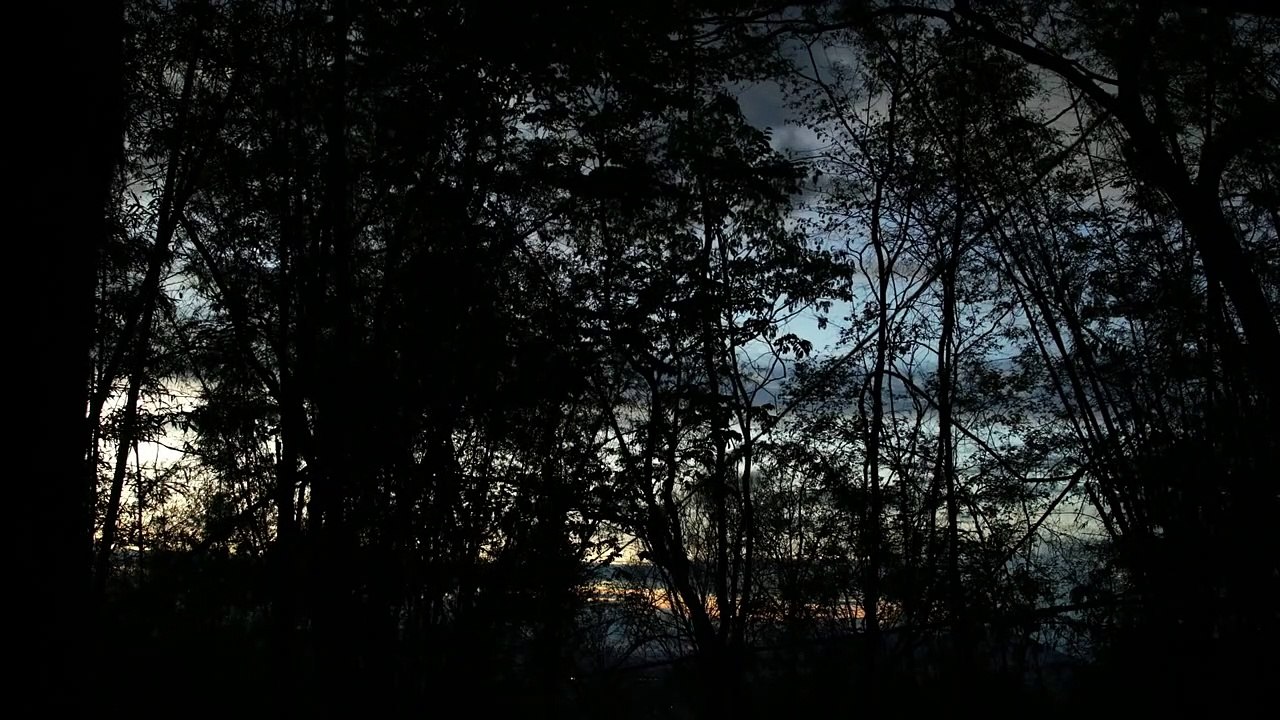 Medium Trailer OmeU