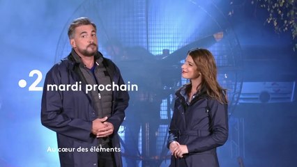 Au coeur des éléments (France 2) : les phénomènes météo hors normes à la loupe