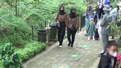 Prank Patung & Manusia Pohon 😄